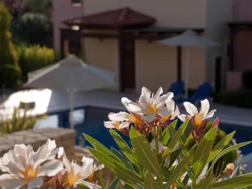 Eligia Villas Mixórrouma Pokoj fotografie